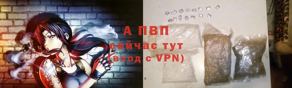 прущие грибы Нефтегорск