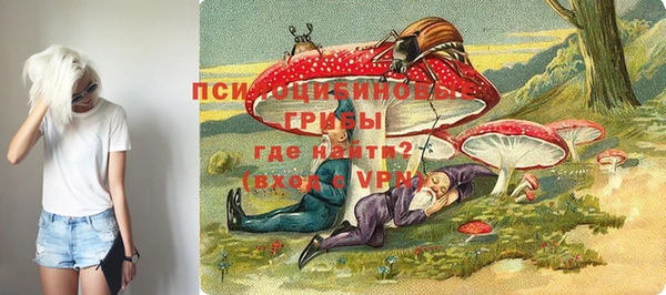 прущий лед Нея