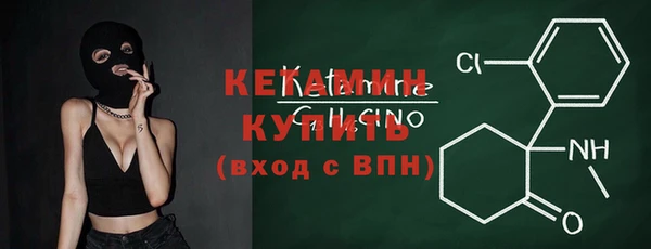 прущие грибы Щёлкино