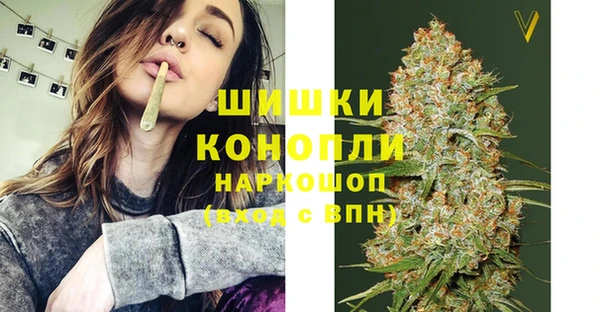 прущие грибы Нефтегорск