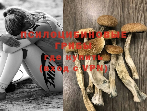прущий лед Нея