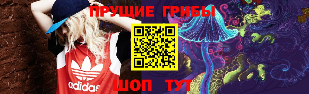 Псилоцибиновые грибы Magic Shrooms  Вход с VPN  Алапаевск 